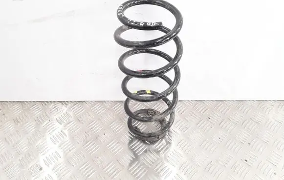 Peugeot 407 Front coil spring