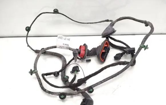 Front door wiring loom