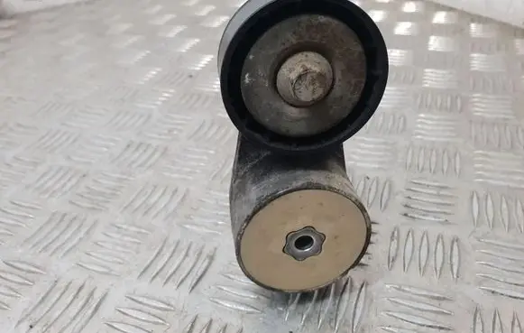 Fiat Punto (176) Generator/alternator belt tensioner