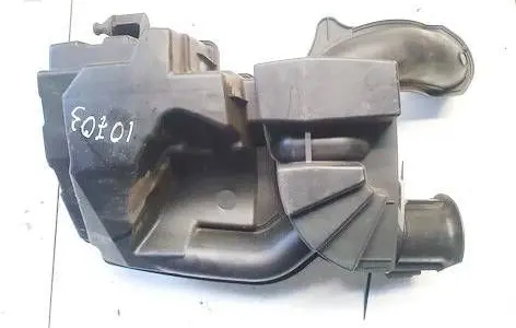 Renault Megane III Intake resonator 8200971790 h8200841044
