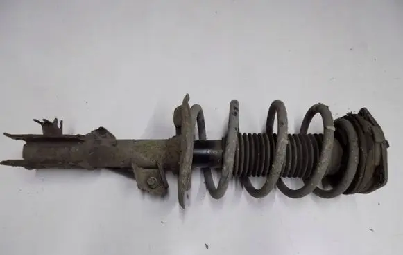 Nissan Qashqai Front shock absorber with coil spring 4328974oewo213