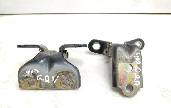 Hyundai Sonata Rear door hinge set 