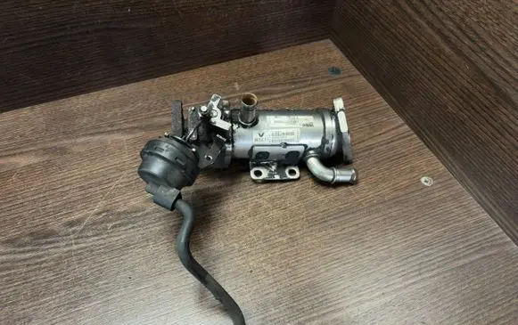 Renault Trafic II (X83) EGR valve cooler H8200340616 876481V