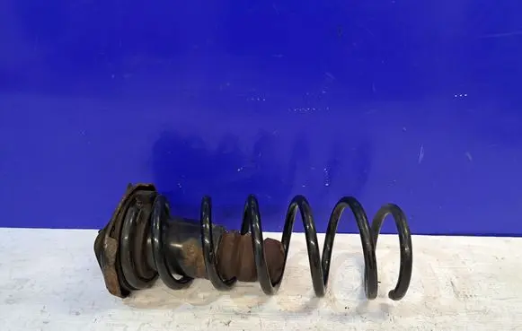 Volvo XC70 Rear coil spring 31300137