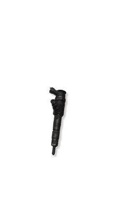 Citroen C3 Fuel injector 870689