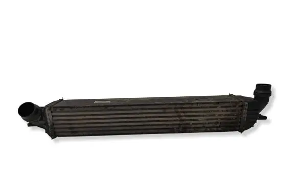 Renault Laguna III Intercooler radiator 144960001R H9493002