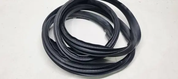 Renault Clio V Front door rubber seal 808329581R