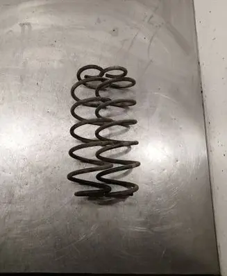 Rear coil spring