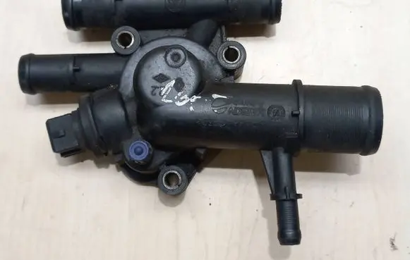 Thermostat/thermostat housing