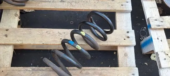 Hyundai Santa Fe Rear coil spring