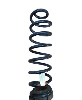 Rear coil spring