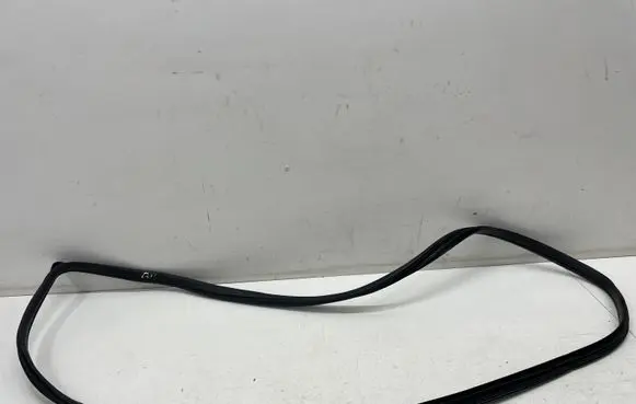 KIA Niro Front door rubber seal 040820