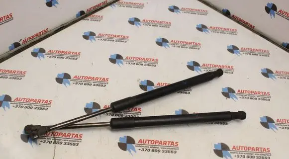 BMW 1 E82 E88 Front bonnet/hood damper/strut 7166758