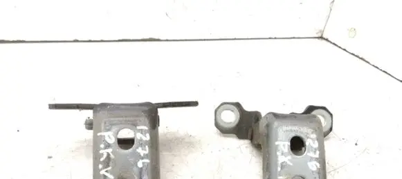 Renault Latitude (L70) Front door hinge set TLFRAN