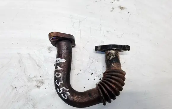 Volkswagen Cross Polo EGR valve