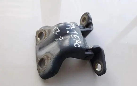 Rear door lower hinge