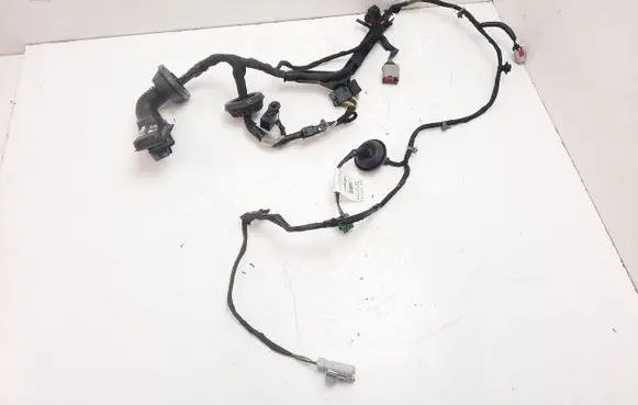Cadillac Escalade IV Front door wiring loom 84305356