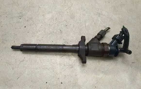 Citroen C3 Fuel injector 0445110311