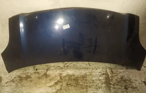 Engine bonnet/hood