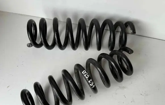 Rear coil spring