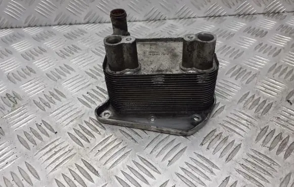 Mercedes-Benz E W210 Engine oil radiator 