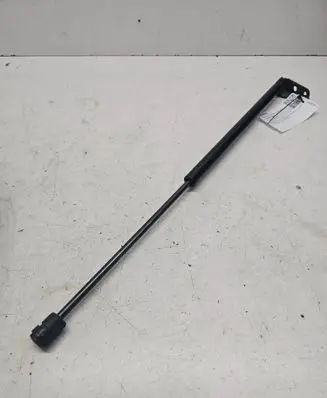 Tailgate/trunk strut/damper