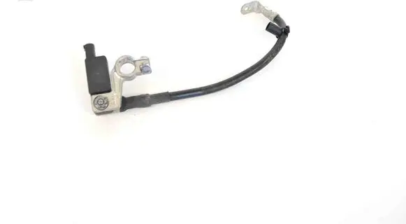 Ford Ecosport Positive wiring loom H1BT10C679AC