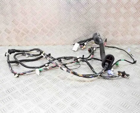 Tesla Model 3 Front door wiring loom 206795702A