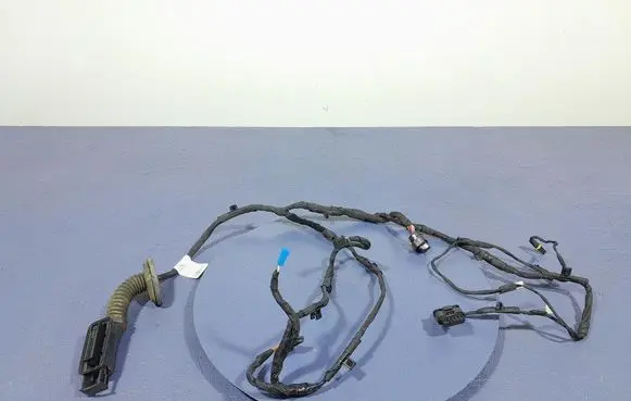 BMW 2 F45 Other wiring loom 8727996