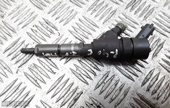 Peugeot 406 Fuel injector 0445110076 9641742880