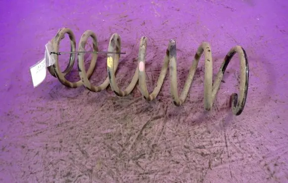 Chevrolet Kalos Rear coil spring