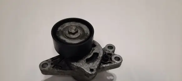 Peugeot 206 Generator/alternator belt tensioner 9649675880