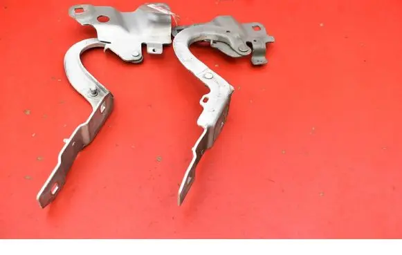 Renault Zoe Engine bonnet/hood hinges 654018609R