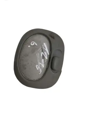KIA Sorento Rear seat light 9262029610 92620 29610