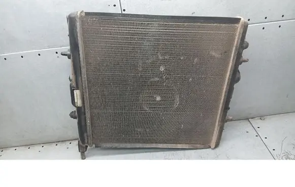 Peugeot 206 CC Coolant radiator 9625187080