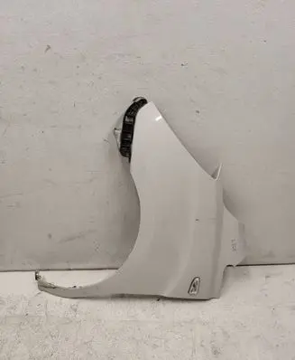Hyundai H-1, Starex, Satellite Fender