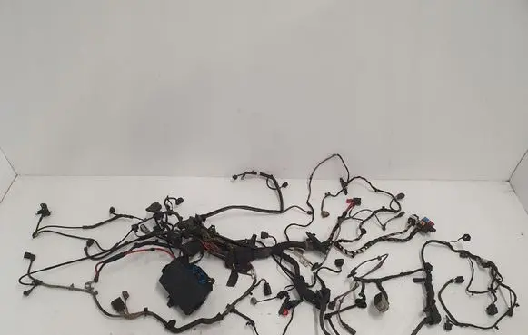 Skoda Rapid (120G, 130G, 135G) Engine installation wiring loom 5Q1971111R