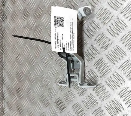 Nissan Qashqai J12 Front door hinges set 804206UA1A