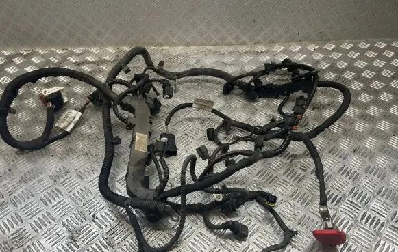 Engine installation wiring loom