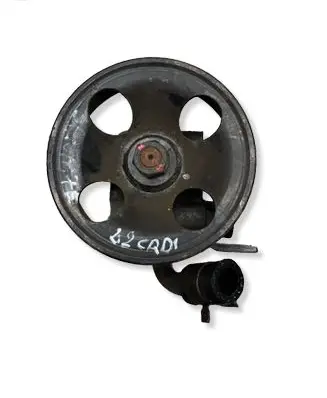 Hyundai Santa Fe Power steering pump 