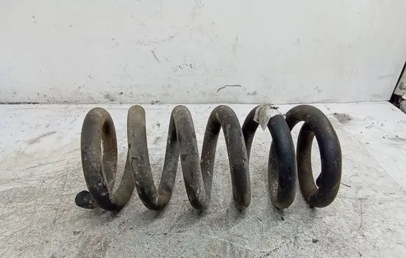 Peugeot Expert Rear coil spring