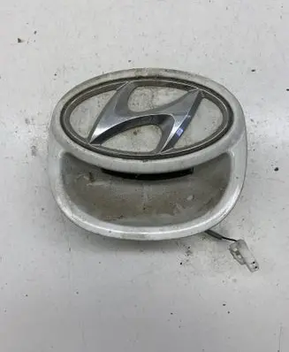 Tailgate/trunk/boot exterior handle