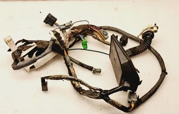 Front door wiring loom