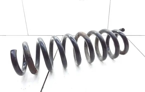 Rear coil spring