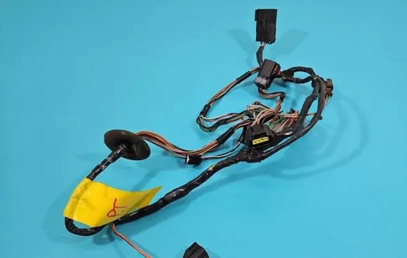 Rear door wiring loom