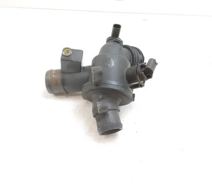Thermostat/thermostat housing