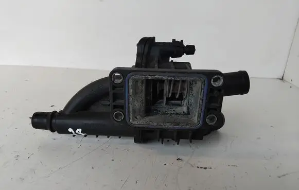 Thermostat/thermostat housing
