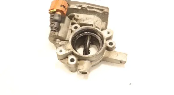 Chevrolet Aveo Throttle body valve 