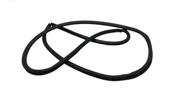 Lexus IS III XE30 Front door rubber seal 