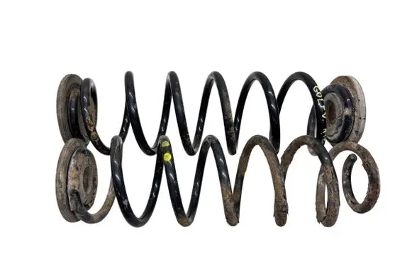 Rear coil spring